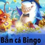 Bắn cá vàng Bingo – Trải nghiệm giải trí đỉnh cao tại 999bet